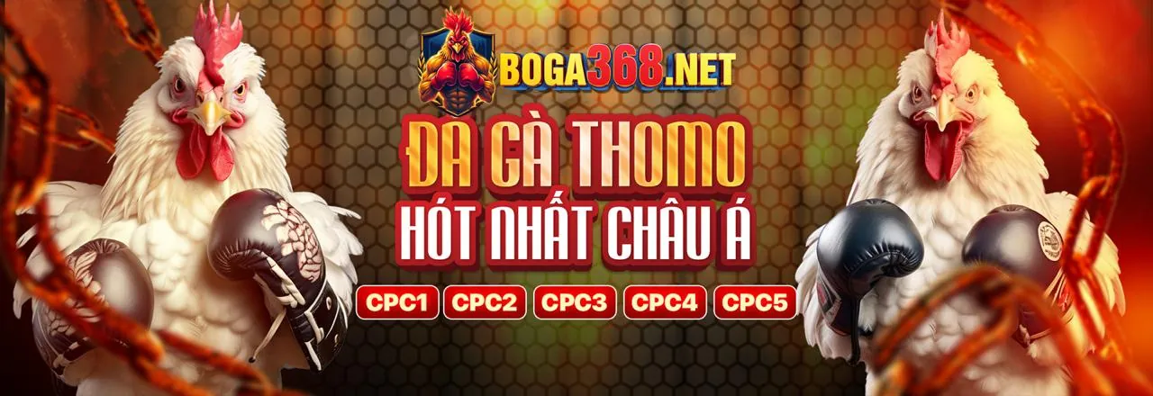 Bet678 Link Mới 2026: Nền Tảng Cá Cược An Toàn và Đa Dạng