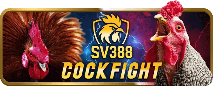 Định nghĩa Cookie trên bet678 link mới